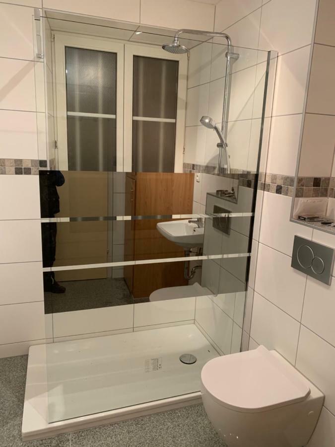 Appartement Wissembourg Luaran gambar